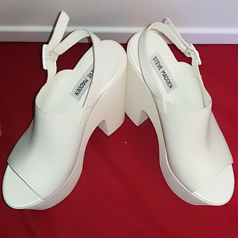 Steve madden